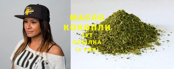 МДПВ Инсар