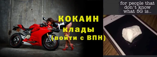 МДПВ Инсар