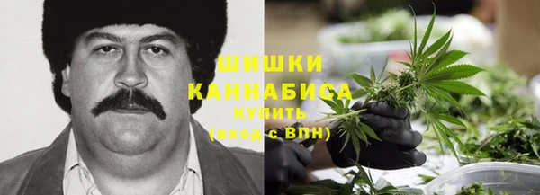 МДПВ Инсар