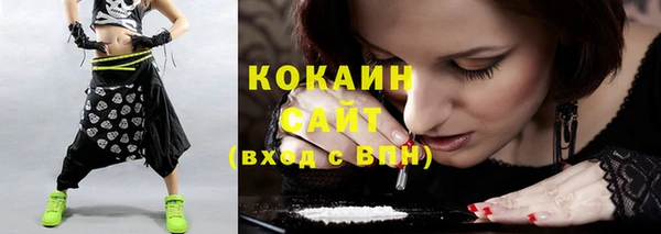 МДПВ Инсар