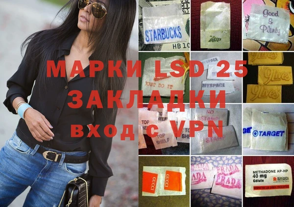 МДПВ Инсар