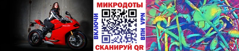 Галлюциногенные грибы GOLDEN TEACHER  Купить где  Отрадный 